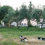 Mediterranea - Apartman *