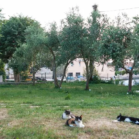Apartman Mediterranea - Medulin