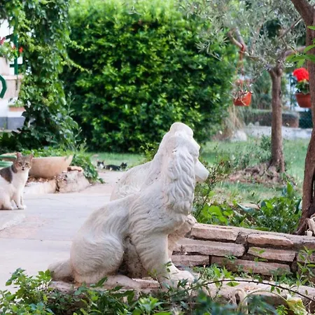 Mediterranea - Apartman *