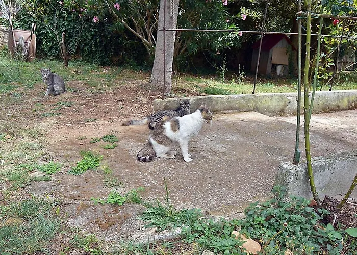 Mediterranea - Medulin