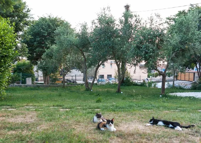 Mediterranea - Apartman *