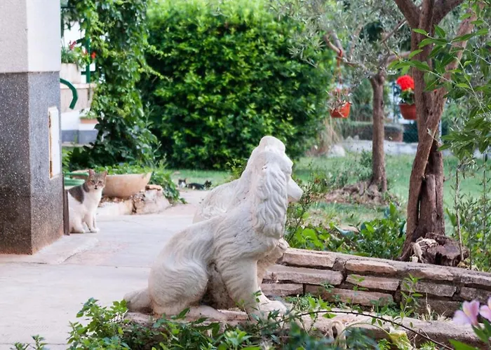 Mediterranea - Apartman *